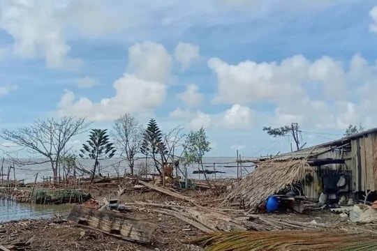 Cà Mau đối mặt nguy cơ sạt lở trên diện rộng