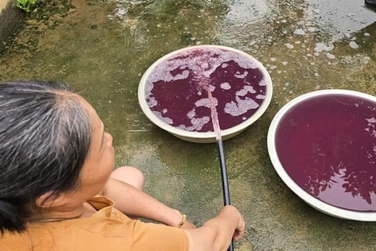 Thanh Hóa: Xác minh nguyên nhân khiến nước giếng đổi màu bất thường