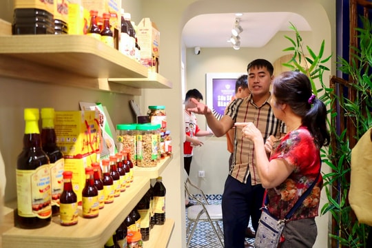 Khai mạc “Tuần lễ sản phẩm Hà Tĩnh tại Thủ đô”, đẩy mạnh kết nối hàng Việt