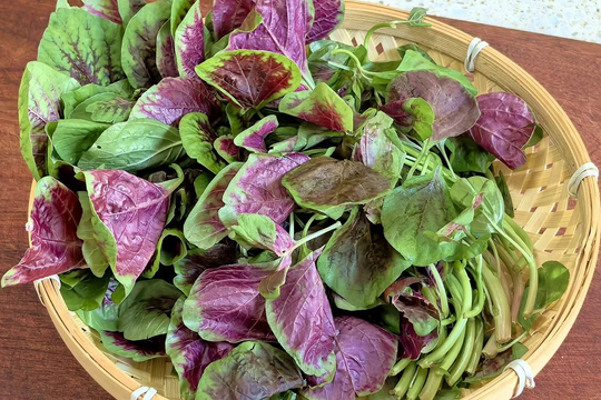 Dền đỏ - loại rau chứa canxi gấp 10 lần thịt bò