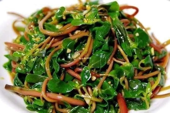 Rau sam – từ cây dại bị lãng quên đến thực phẩm giàu giá trị dinh dưỡng