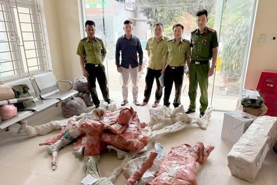 Cẩm Thủy (Thanh Hóa): Ngăn chặn hành vi vận chuyển phôi cây rừng không rõ nguồn gốc