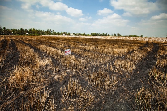El Niño và khủng hoảng năng lượng đe dọa an ninh lương thực châu Á
