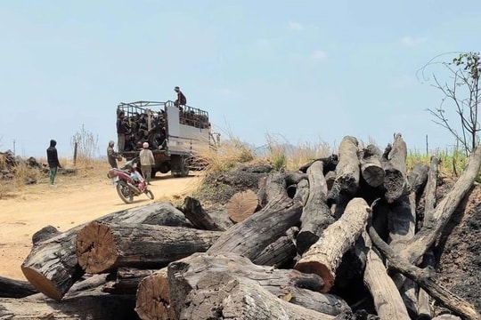 Tăng cường kiểm tra, xử lý vi phạm lâm nghiệp tại khu vực giáp ranh Đắk Lắk – Gia Lai