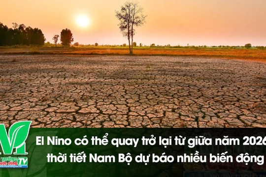 [VIDEO] El Nino có thể quay trở lại từ giữa năm 2026, thời tiết Nam Bộ dự báo nhiều biến động