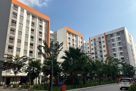 Kiện toàn Ban Chỉ đạo chính sách nhà ở và thị trường bất động sản cấp tỉnh trong quý II/2026