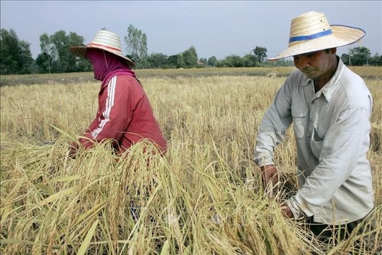 An ninh năng lượng, lương thực ở châu Á có nguy cơ bị 'siêu El Nino' đe dọa