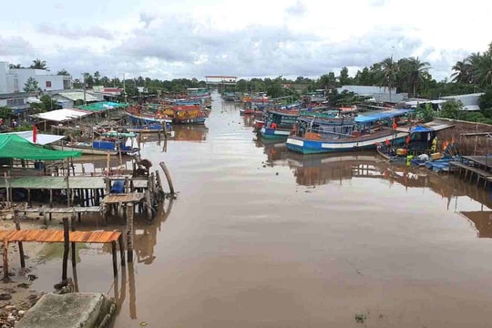 Cà Mau chủ động ba kịch bản ứng phó ngập lụt, nước dâng trong năm 2026