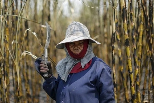 Châu Á trước nguy cơ El Niño cực đoan