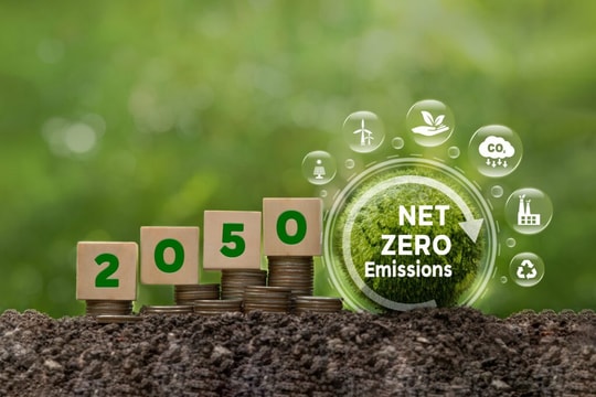 Net Zero 2050: Bài toán không chỉ của môi trường mà còn là sức chịu đựng của nền kinh tế