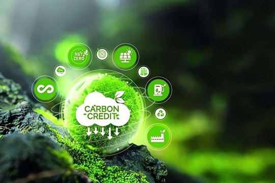 EU, Trung Quốc và Brazil thúc đẩy hợp tác toàn cầu về thị trường carbon