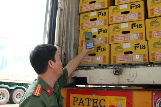 Bộ Nông nghiệp yêu cầu xử lý ngay tình trạng ùn tắc kiểm nghiệm sầu riêng xuất khẩu