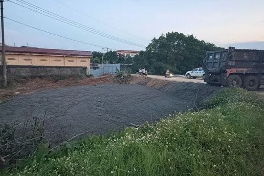 Hà Nội: Phát hiện xe tải đổ bùn thải trái phép tại khu vực bờ đê xã Thư Lâm