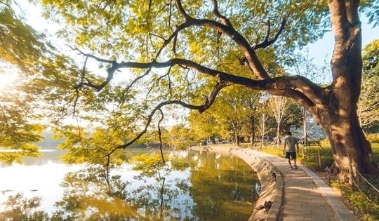 Dự báo thời tiết Hà Nội ngày 12/05/2026: Ngày nắng, chiều tối mai có mưa rào và dông