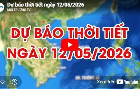 Dự báo thời tiết ngày 12/05/2026: Ngày nắng, chiều tối có mưa rào và dông