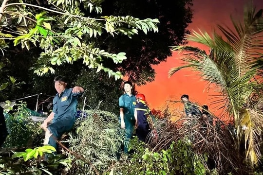TP Hồ Chí Minh huy động hàng trăm người dập cháy bãi cỏ xuyên đêm