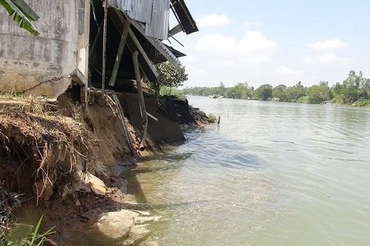 Nhiều tuyến sông, kênh ở An Giang đối mặt nguy cơ sạt lở nghiêm trọng