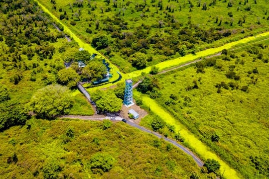 Công nghệ 4K hỗ trợ Cà Mau bảo vệ hơn 50.000ha rừng mùa khô