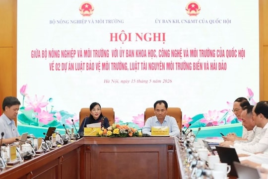 Hoàn thiện chính sách môi trường, biển và hải đảo đáp ứng yêu cầu phát triển mới