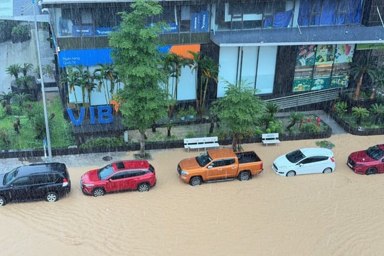 Mưa dông gây thiệt hại hơn 10 tỷ đồng tại nhiều địa phương