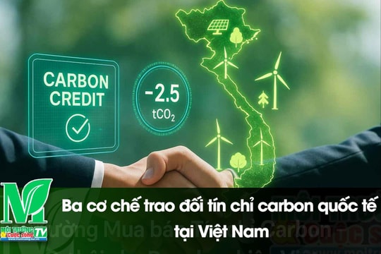 [VIDEO] Ba cơ chế trao đối tín chỉ carbon quốc tế tại Việt Nam
