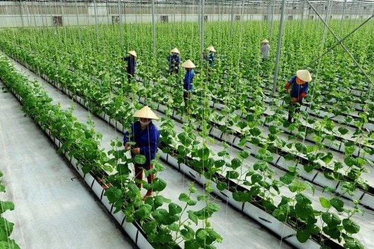 Nông nghiệp phát thải thấp: Động lực mới nâng sức cạnh tranh cho nông sản