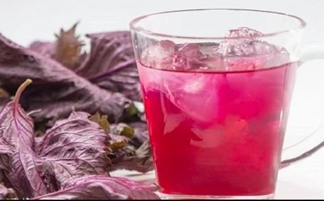 Những đối tượng nên tránh uống nước lá tía tô