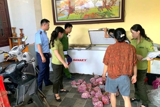Phát hiện gần 300 cá thể cò hương cấp đông chuẩn bị đưa đi tiêu thụ ở Sầm Sơn