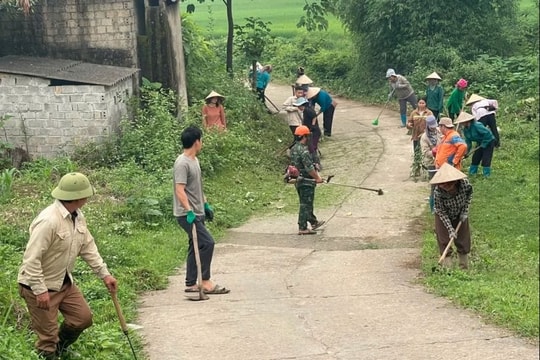 Lâm Đồng: Hưởng ứng Ngày Môi trường thế giới và Tuần lễ Biển và Hải đảo