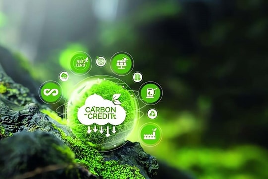 Bổ sung thủ tục hủy tín chỉ carbon tự nguyện từ ngày 1/8/2026