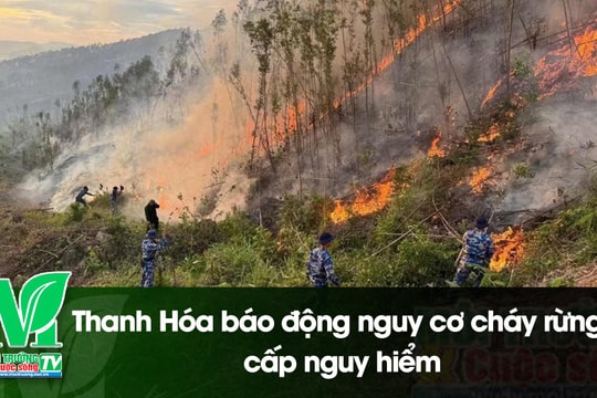 [VIDEO] Thanh Hóa báo động nguy cơ cháy rừng cấp nguy hiểm