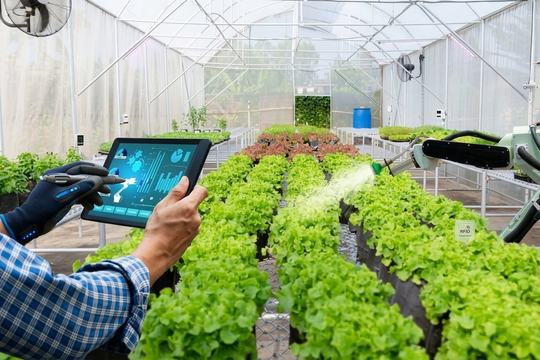 Bộ Nông nghiệp và Môi trường đặt mục tiêu 100% thủ tục hành chính “phi địa giới”
