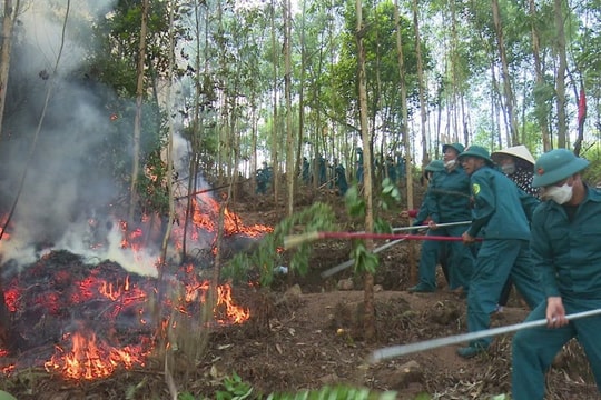 Bắc Ninh nâng cảnh báo cháy rừng lên cấp IV, siết chặt công tác phòng cháy chữa cháy