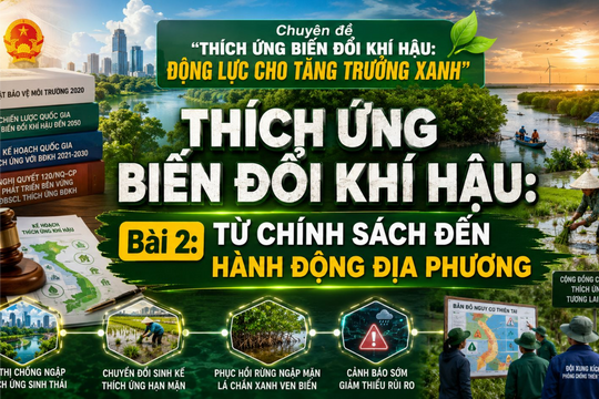 Thích ứng với biến đổi khí hậu: Động lực cho tăng trưởng xanh – Bài 2: Từ chính sách đến hành động địa phương