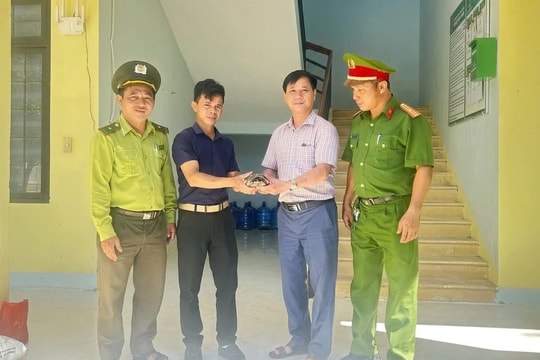 Quảng Ngãi: Thả 2 cá thể động vật hoang dã quý hiếm về rừng tự nhiên