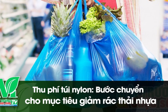 [VIDEO] Thu phí túi nylon: Bước chuyển cho mục tiêu giảm rác thải nhựa