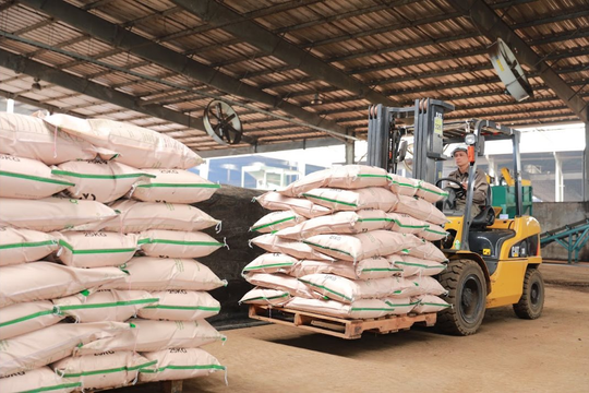 Greenma khẳng định vị thế hàng đầu trong cung ứng sản phẩm chất lượng cao