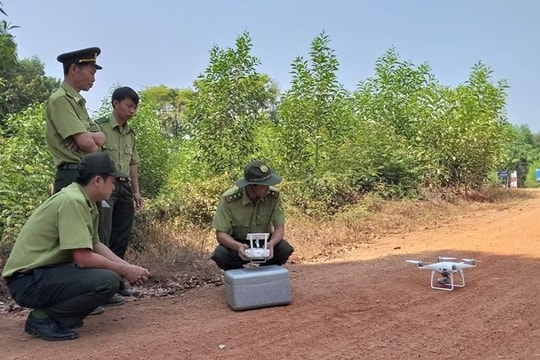 Phú Thọ đẩy mạnh chuyển đổi số trong bảo vệ và quản lý rừng