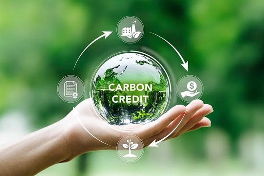 Dấu chân carbon trở thành “tấm vé” vào thị trường toàn cầu