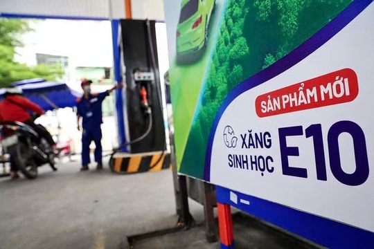 Xăng E10 'phủ sóng' toàn quốc từ hôm nay