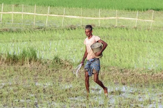 El Nino đe dọa mùa mưa, Ấn Độ lo áp lực lạm phát và suy giảm tăng trưởng