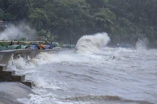 Hải Phòng chủ động xây dựng phương án bảo vệ các vùng nguy hiểm mùa mưa bão 2026