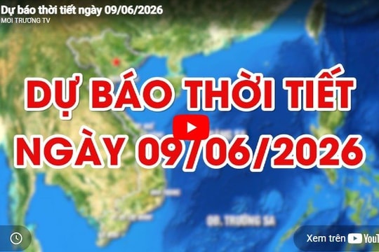Dự báo thời tiết ngày 09/06/2026: Đêm và sáng có mưa vừa, mưa to và dông