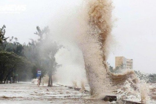 Biển Đông xuất hiện vùng áp thấp, nhiều địa phương khẩn trương triển khai ứng phó