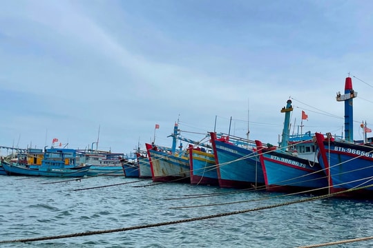 Xuất hiện áp thấp trên biển, cảnh báo gió giật cấp 8 và sóng cao 3m