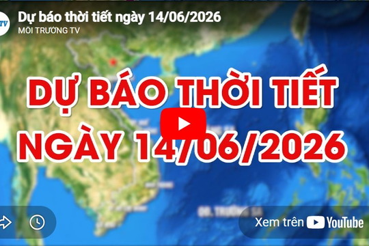 Dự báo thời tiết ngày 14/06/2026: Chiều tối và đêm có mưa rào và dông vài nơi