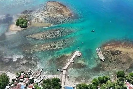 Hiện tượng nâng bờ biển sau động đất ở Philippines gây ảnh hưởng hệ sinh thái biển