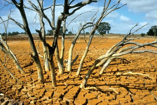 Chủ động ứng phó thiên tai cực đoan trong bối cảnh El Nino tăng cường mạnh