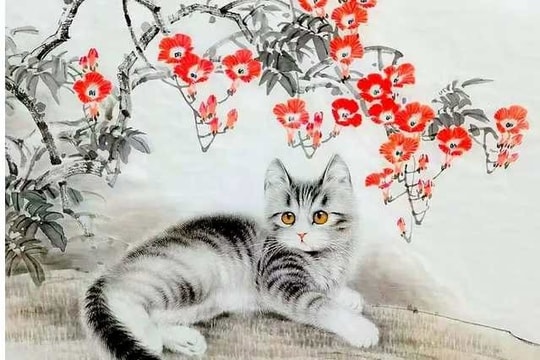 Xem tử vi hôm nay, tử vi 12 con giáp ngày 16/06/2026: Tuổi Mão nên tránh các cuộc cãi vã