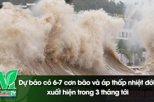 [VIDEO] Dự báo có 6-7 cơn bão và áp thấp nhiệt đới xuất hiện trong 3 tháng tới